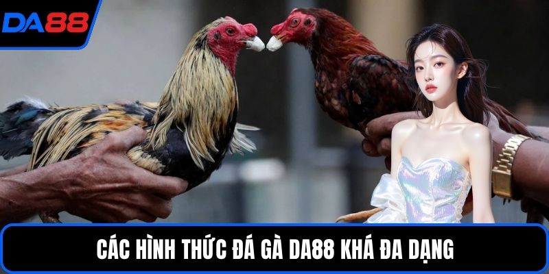 Các hình thức đá gà DA88 khá đa dạng