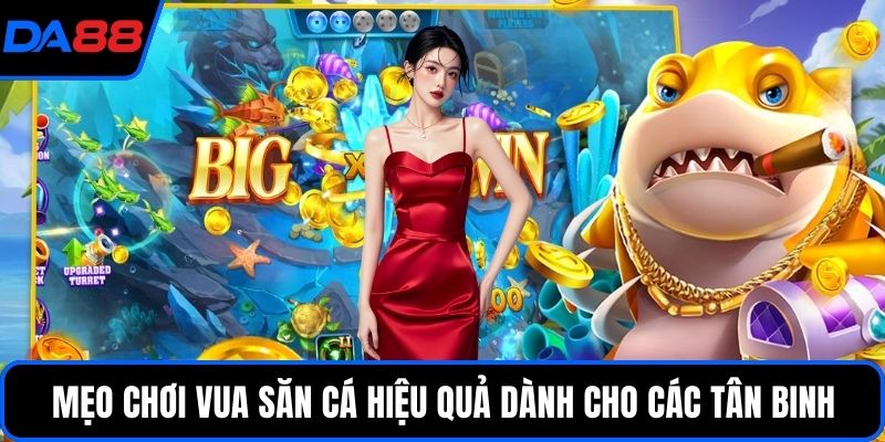 Mẹo chơi Vua săn cá hiệu quả dành cho các tân binh