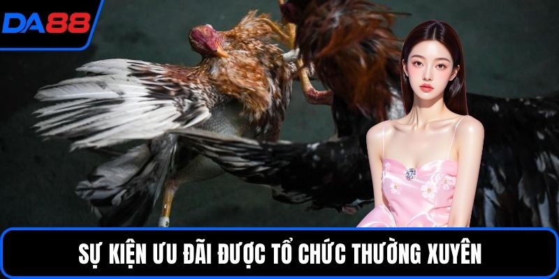 Sự kiện ưu đãi được tổ chức thường xuyên
